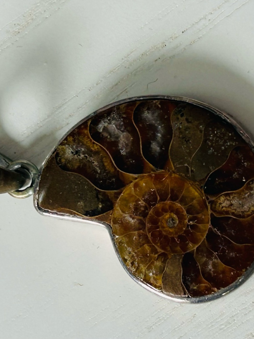 Fossil Ammonite Shell Pendant - Brown Gemstone Slice